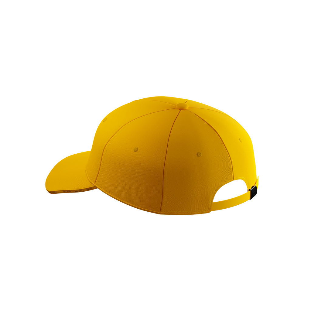 TEAM CAP